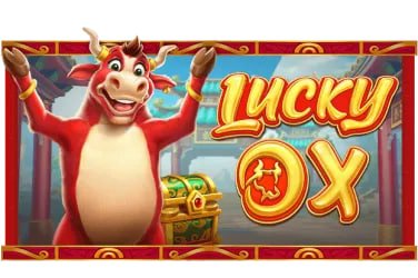 Privacy and account safety reading beside 3666 apk live casino lobby